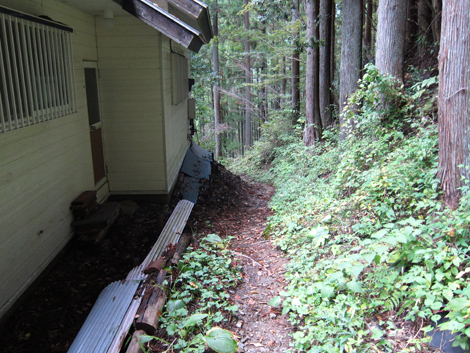 20191031hike (354)